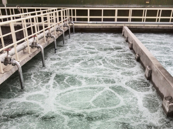 Organic wastewater treatment