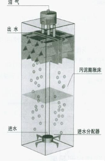 EGSB anaerobic reactor